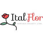 italflor